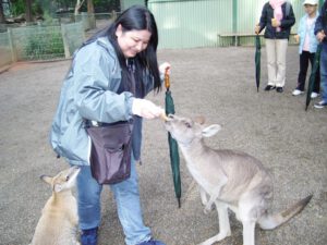 Jeannet feeding the kanggaroos 