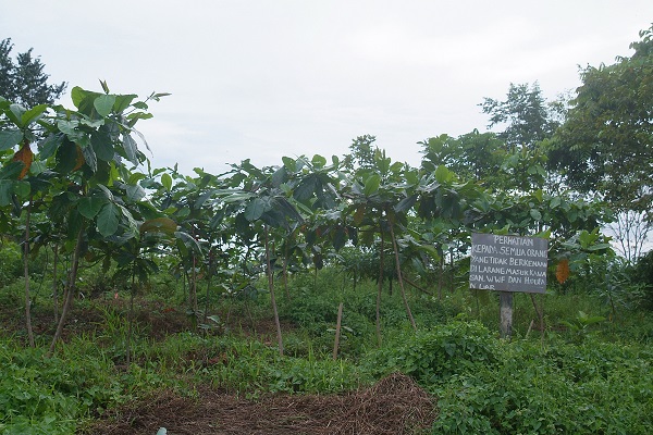 KWICORP site in 2008