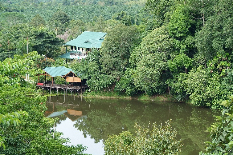 Rainforest Discovery Center, Sepilok