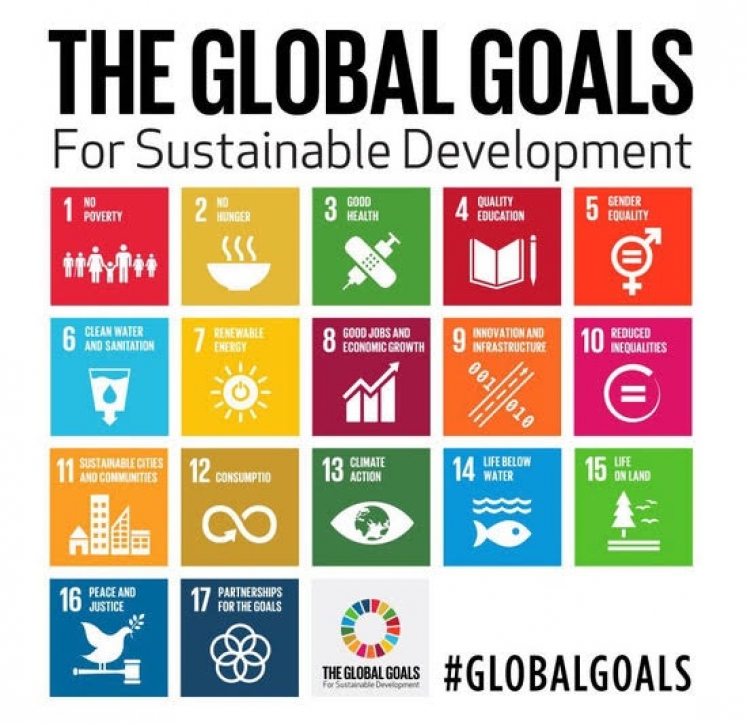 SDGs
