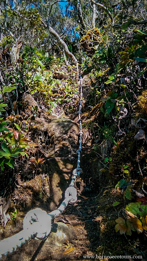 Steep trail