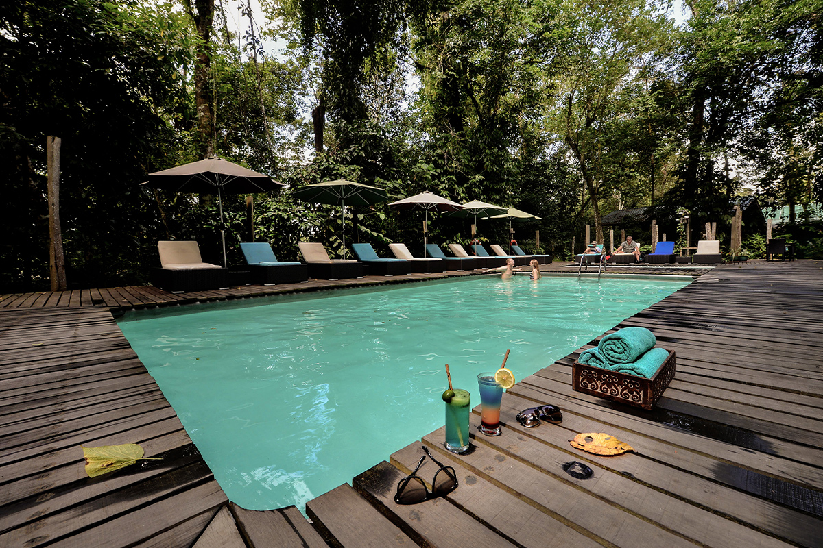 dip pool at Sukau Rainforest Lodge