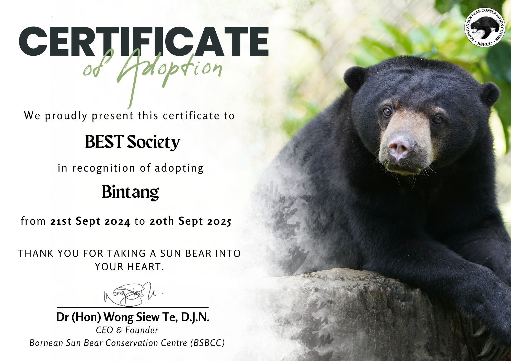 Bintang Adoption Certificate