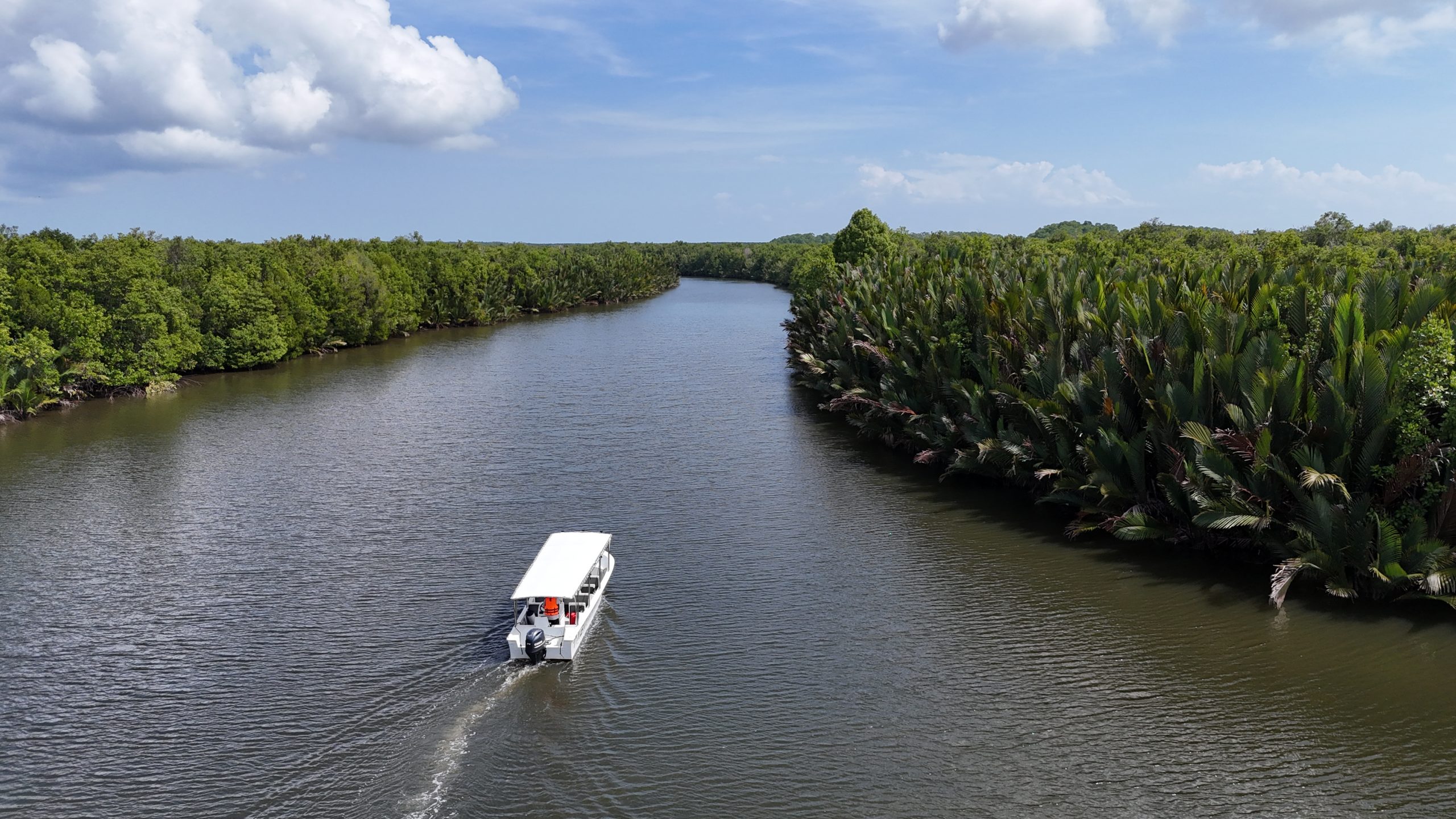 River cruise along mangrove and nipah forest