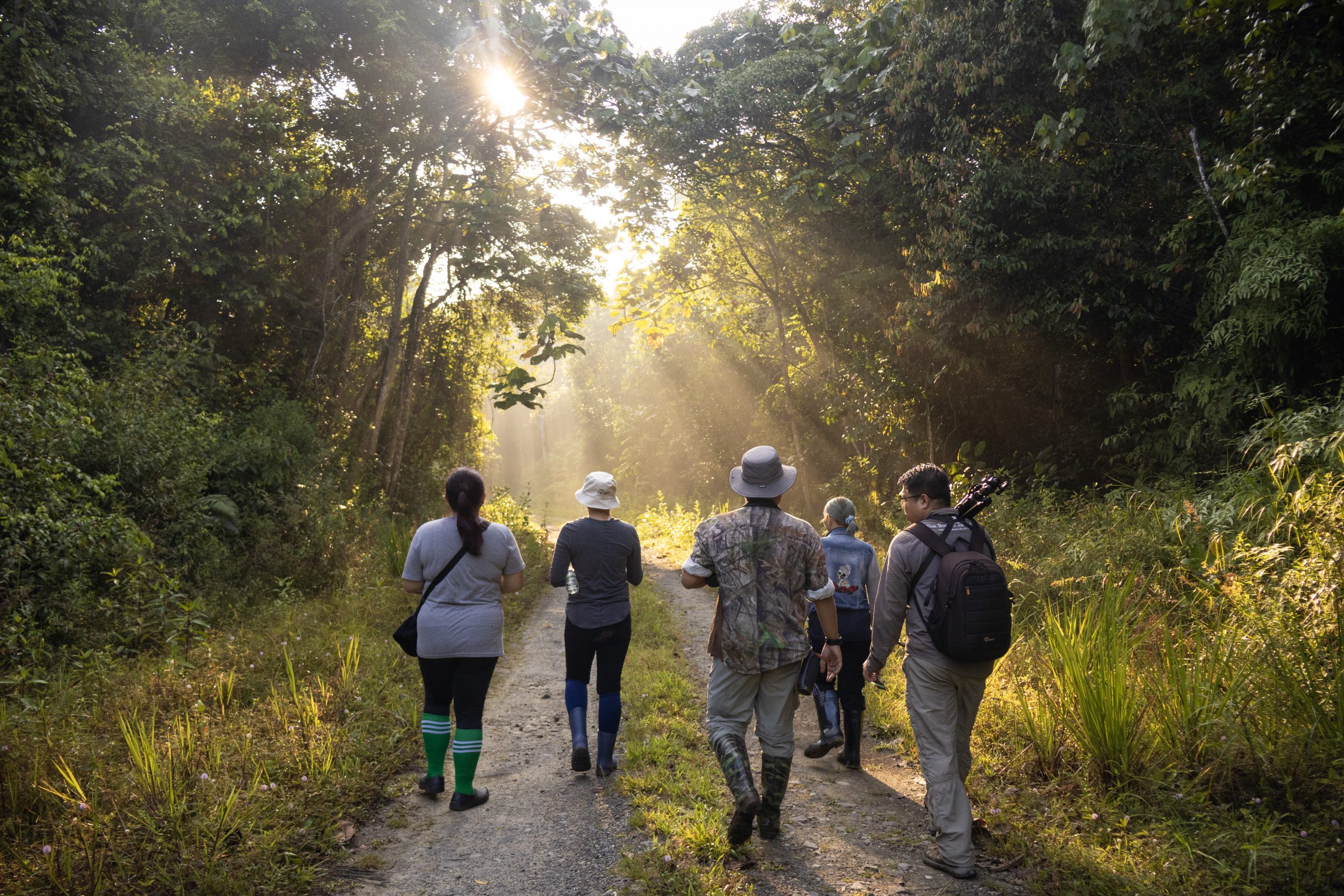 jungle trekking
