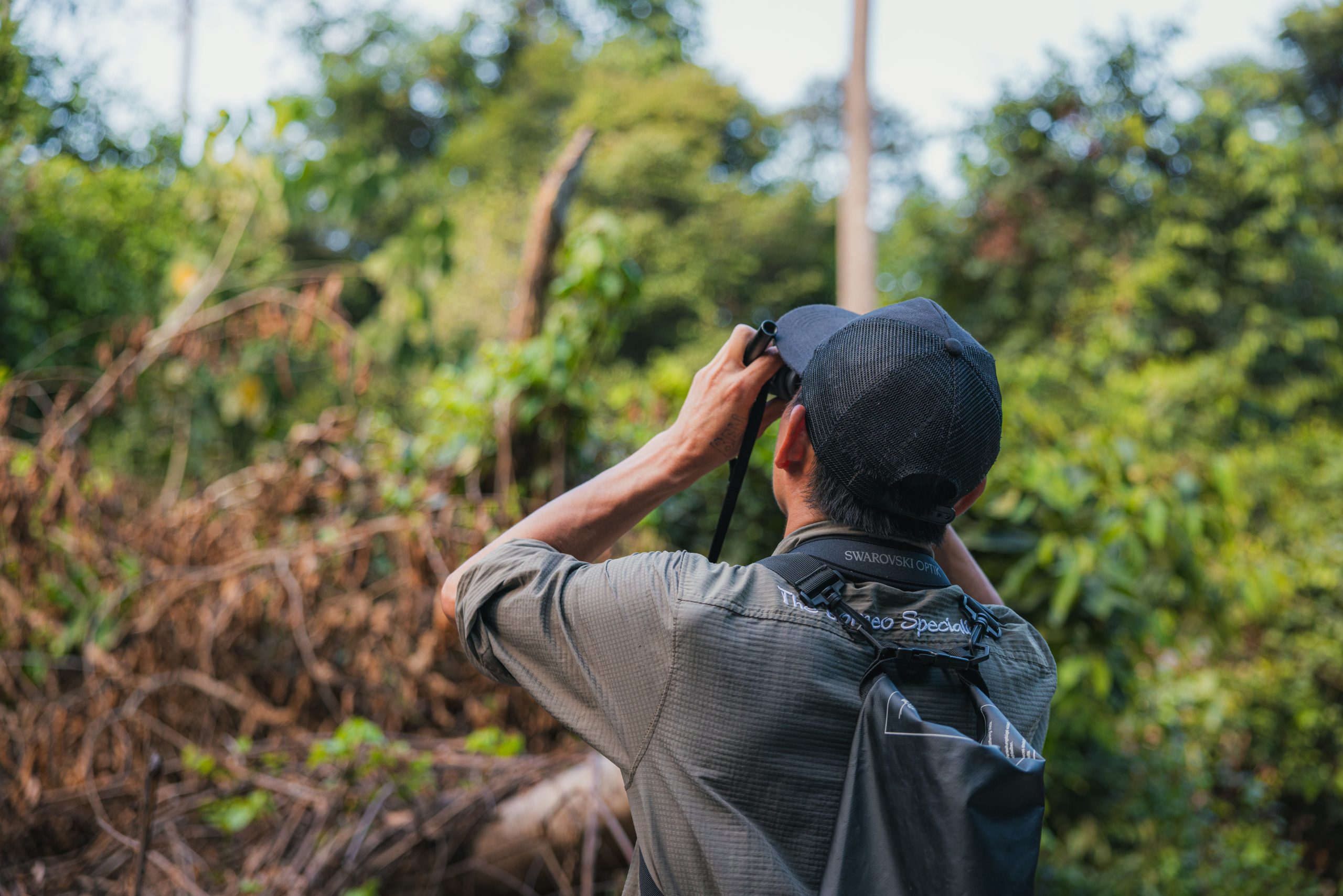 Our guide in action