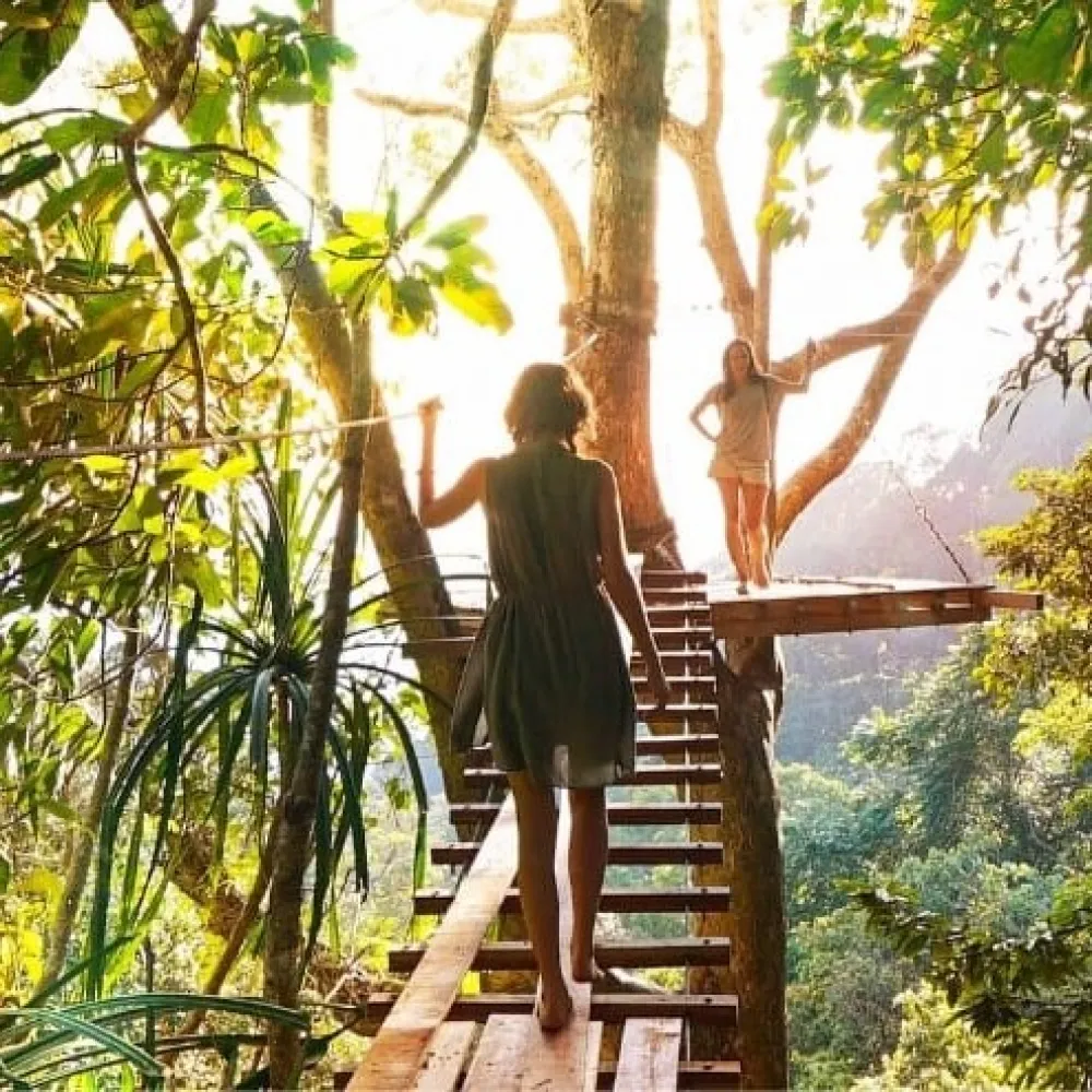 Things To Do - Jungle Trekking at Borneo's Rainforest