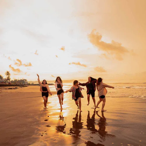 Twin Island Hopping Day Trip