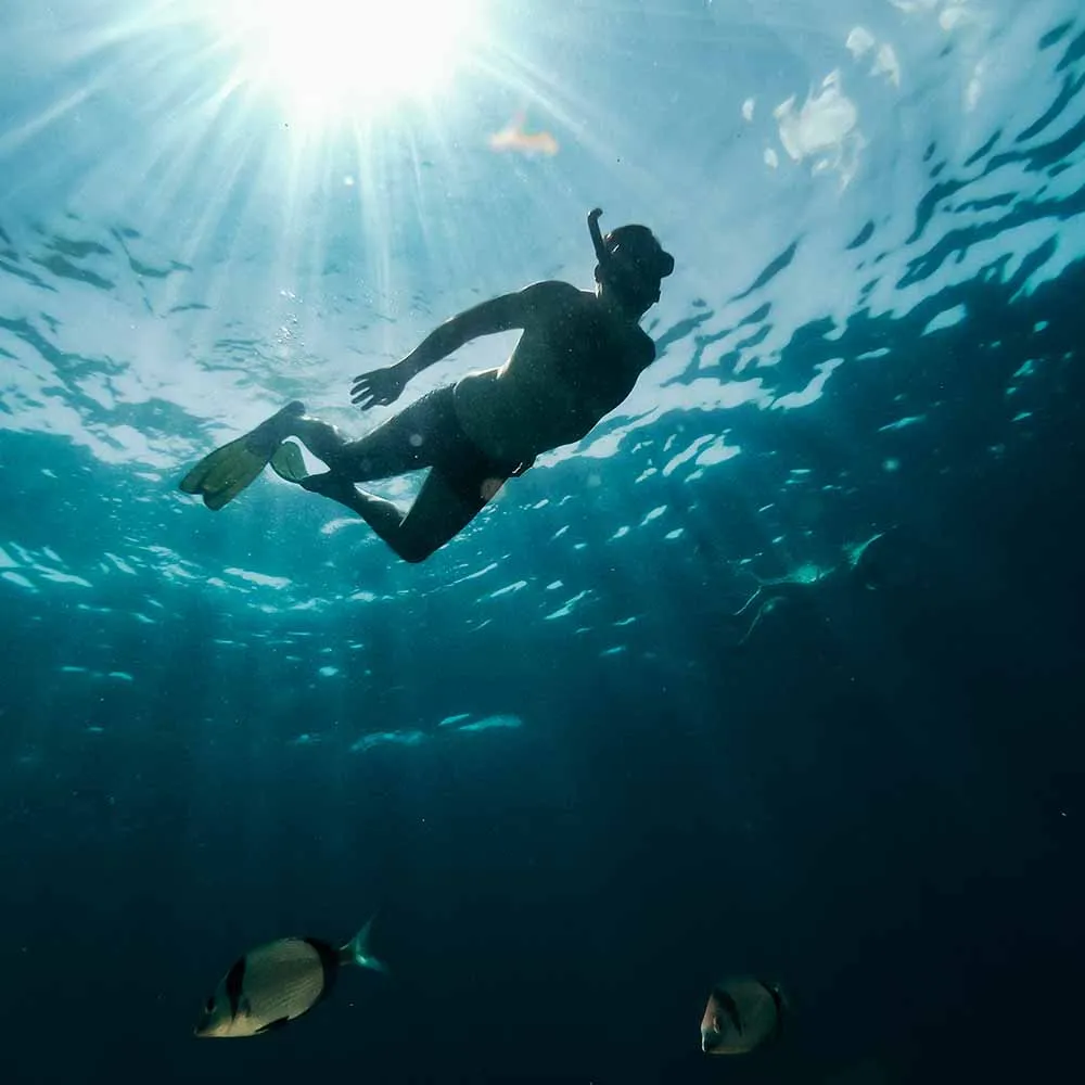 Fun Boat Snorkelling Day Trip Fun Boat Snorkelling Day Trip