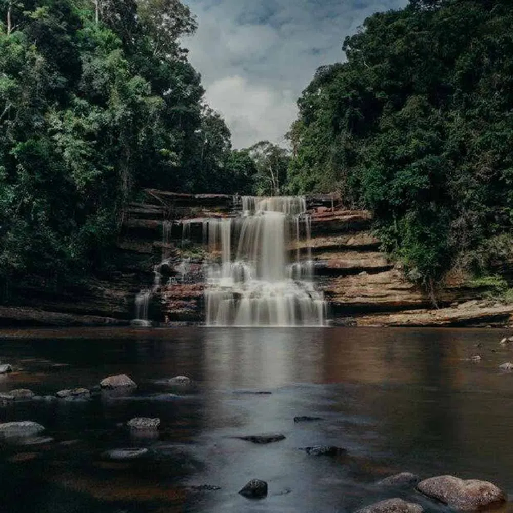 Maliau Nature Safari