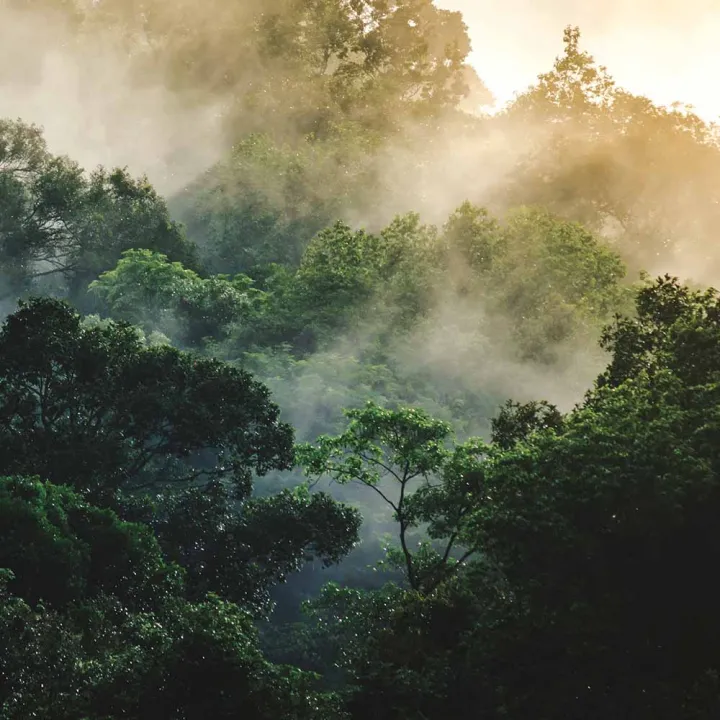 Danum Valley Field Centre