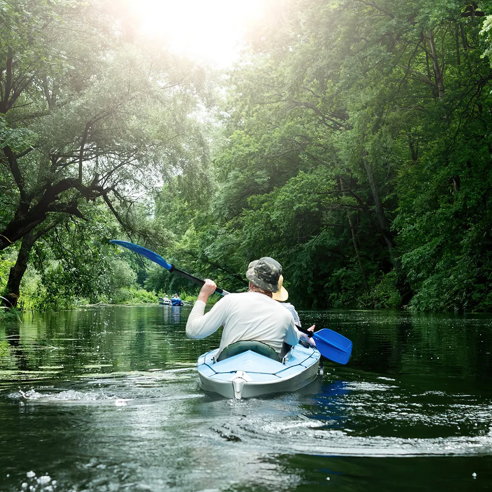 Rainforest Kayaking