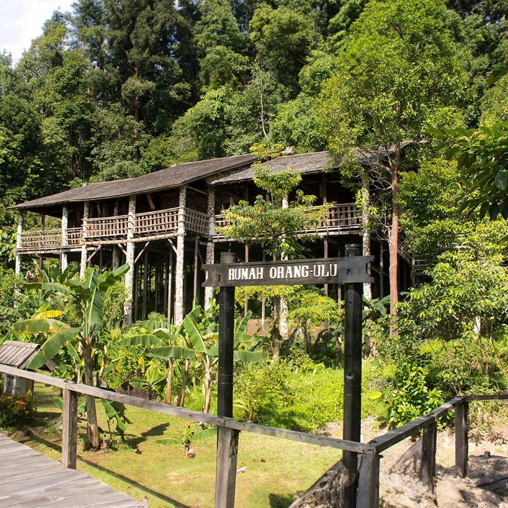 Sarawak Iban Longhouse Safari