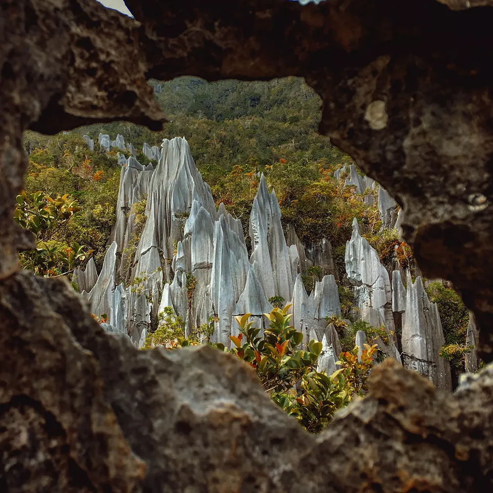 Mulu Caves Safari (Mulu National Park)