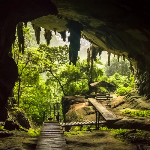 Mulu Headhunters' Trail