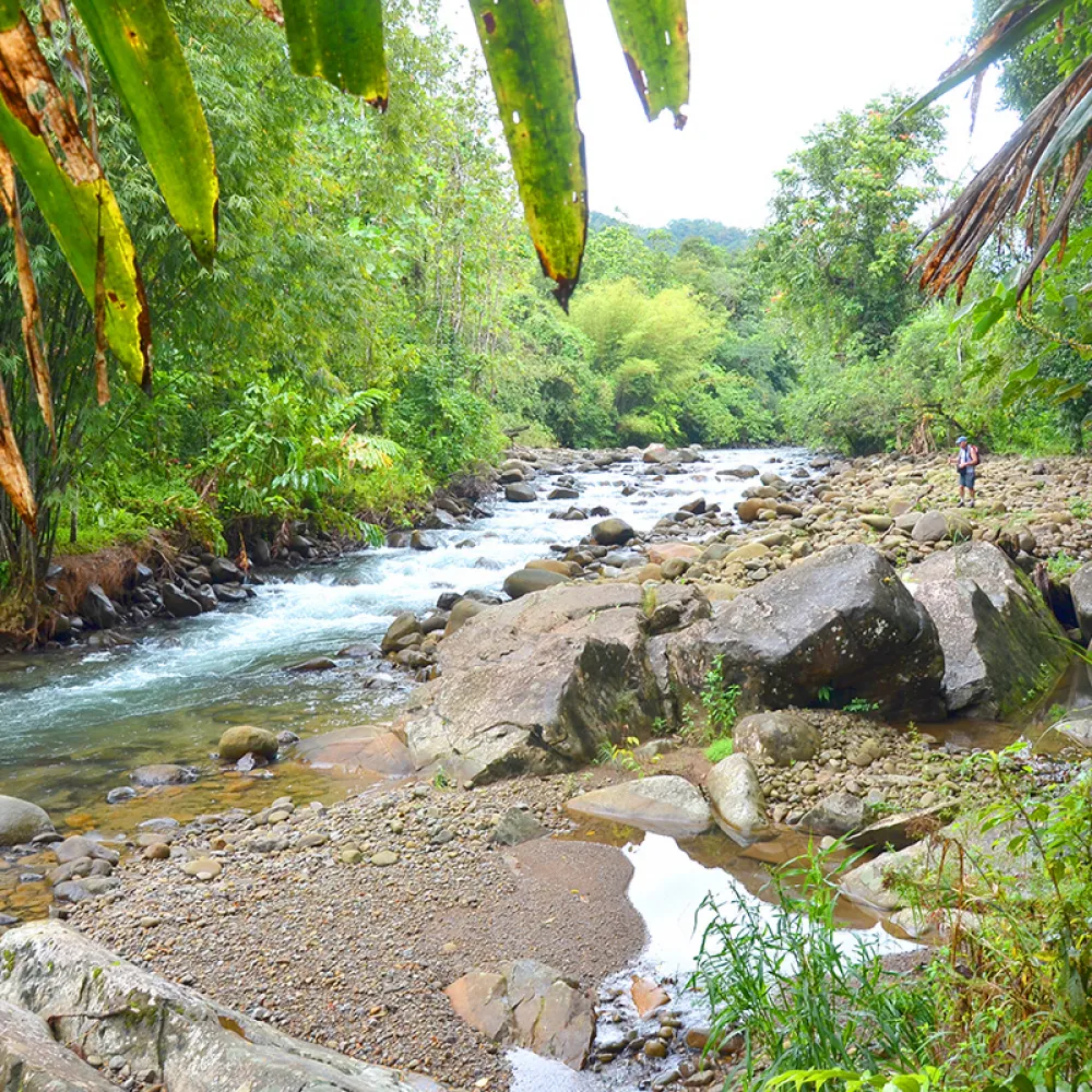 Top Attractions - Crocker Range