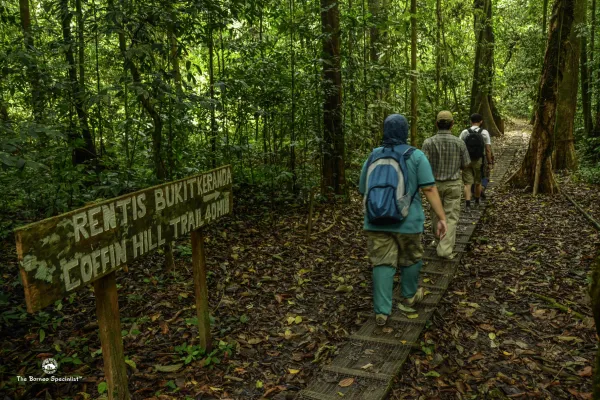 Sabah Wildlife Safari - Day 7