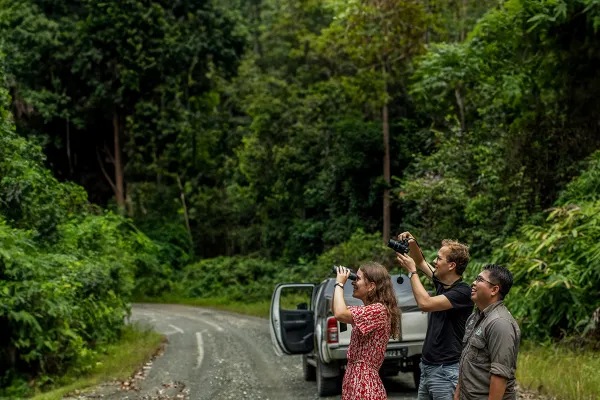 Deramakot Forest Wildlife Safari - Day 1