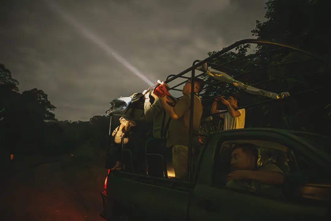 Night safari spotting for wildlife