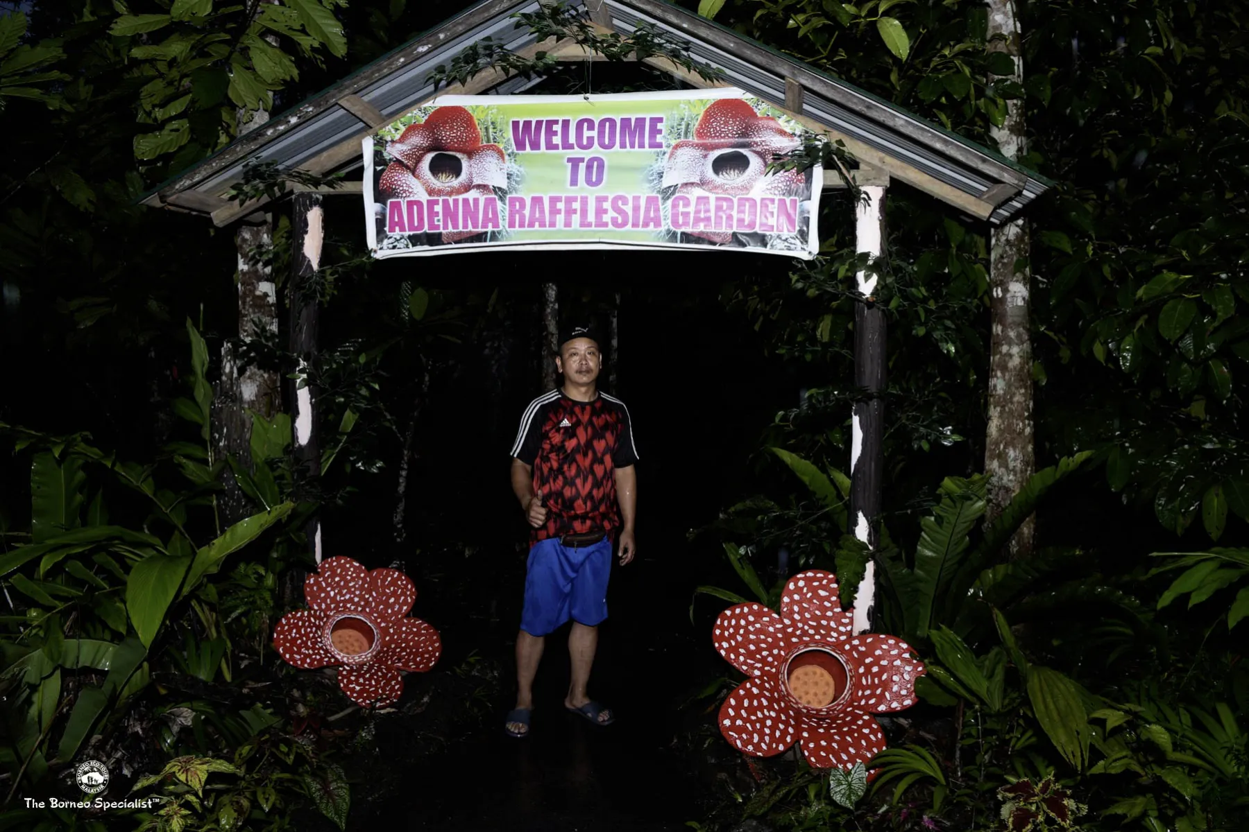adenna rafflesia garden