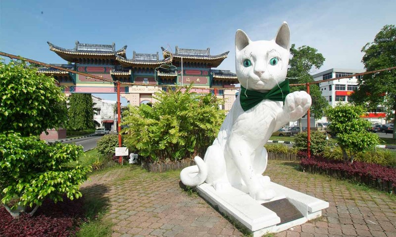 Explore Cat City