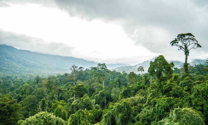 Explore Maliau Basin, Sabah's Lost World