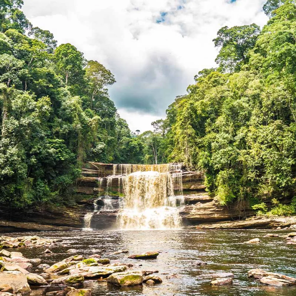 Top Attractions - Maliau Basin