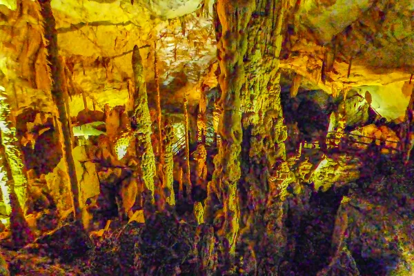 Mulu Pinnacles - Day 3
