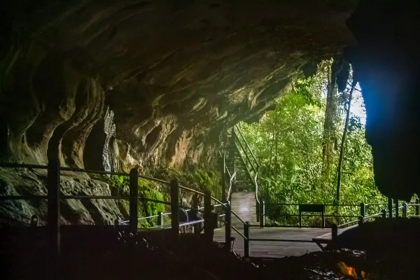 Mulu Pinnacles - Day 4