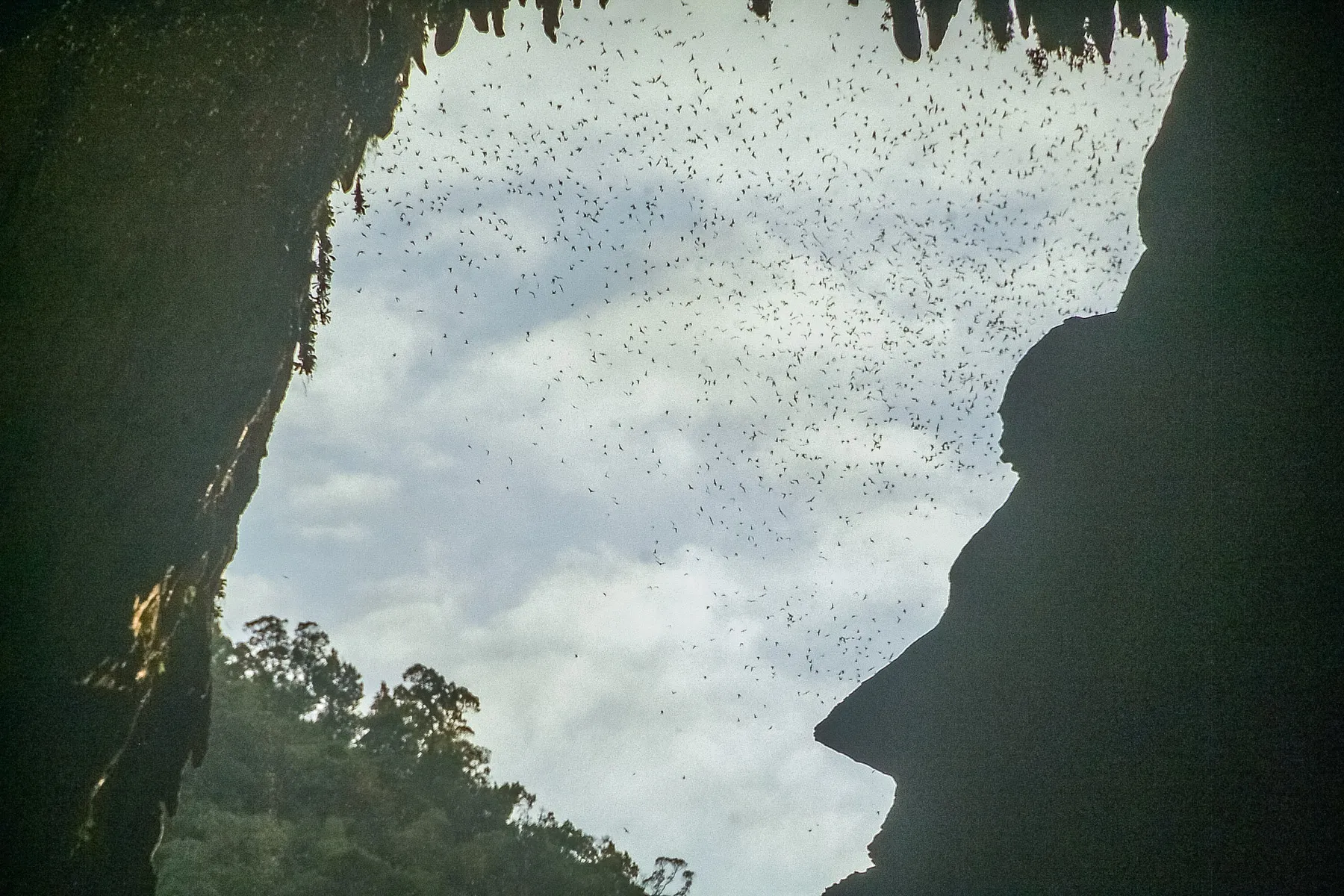 Looking out of Deer Caves