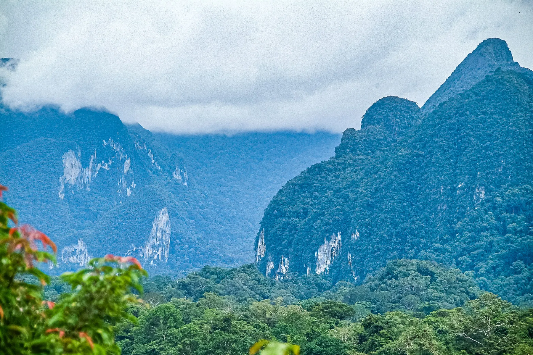 Mulu Park World Heritage Site WHS