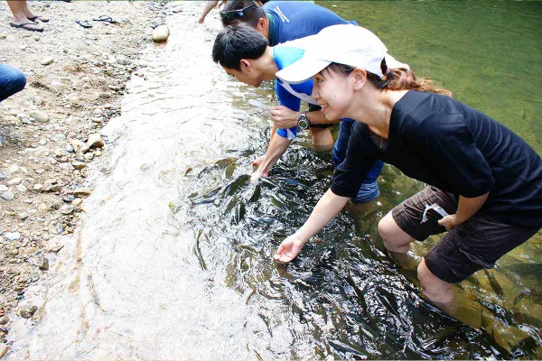 Kinabalu Park Safari - Day 3