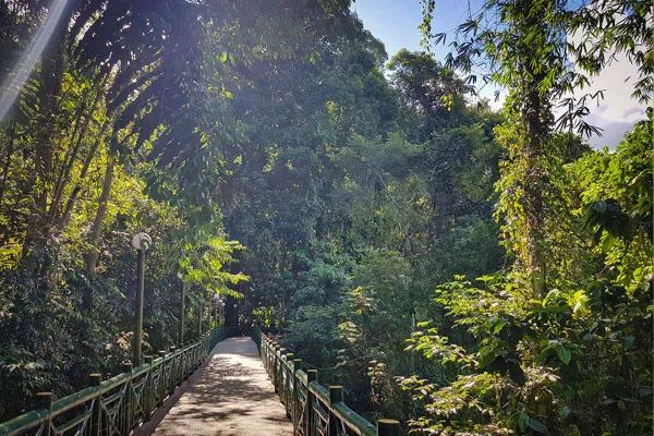 Kinabalu Park Safari - Day 2