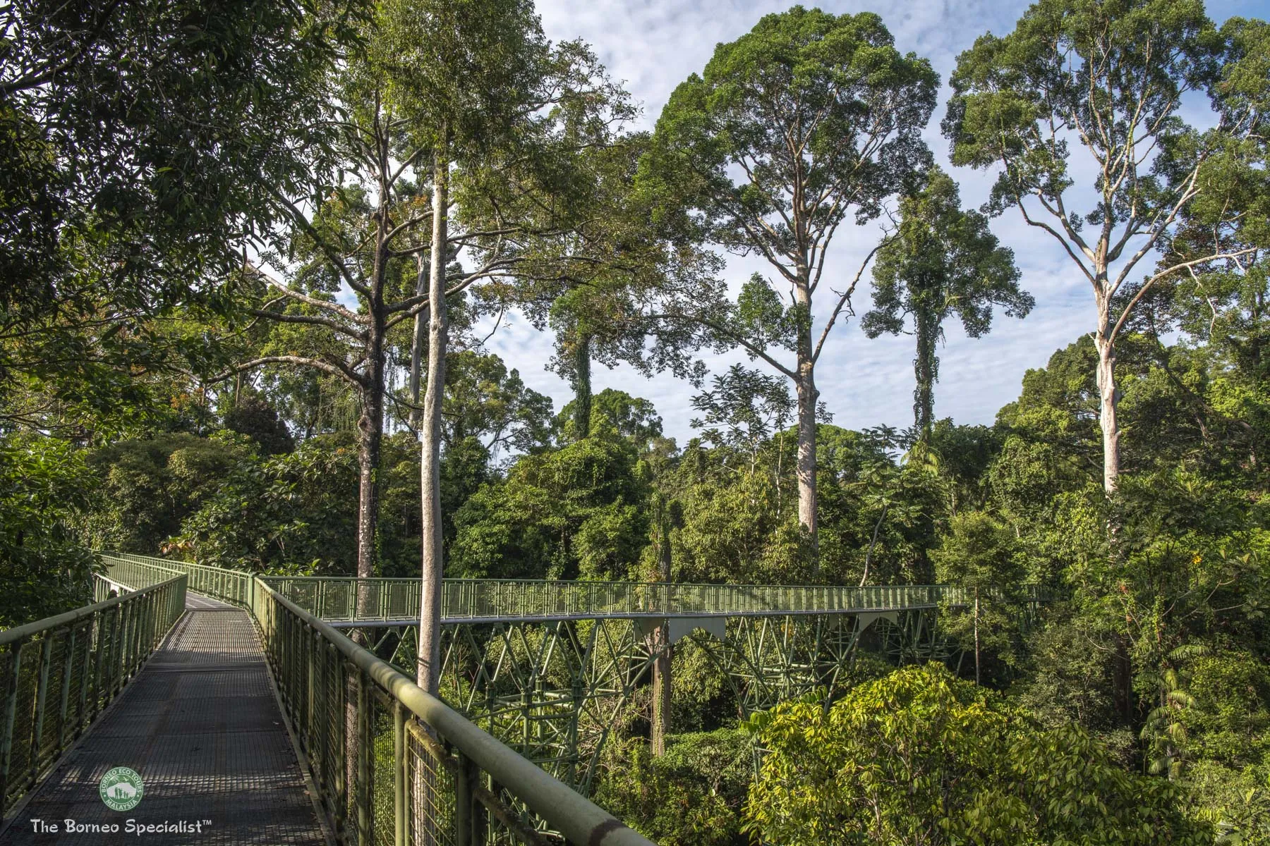 Rainforest Discovery Centre