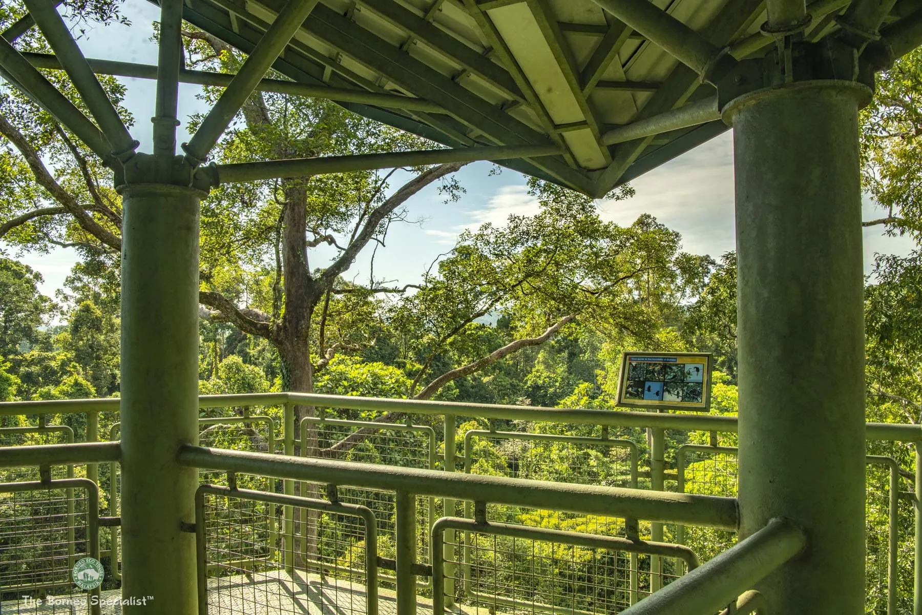 Rainforest Discovery Centre, Sepilok