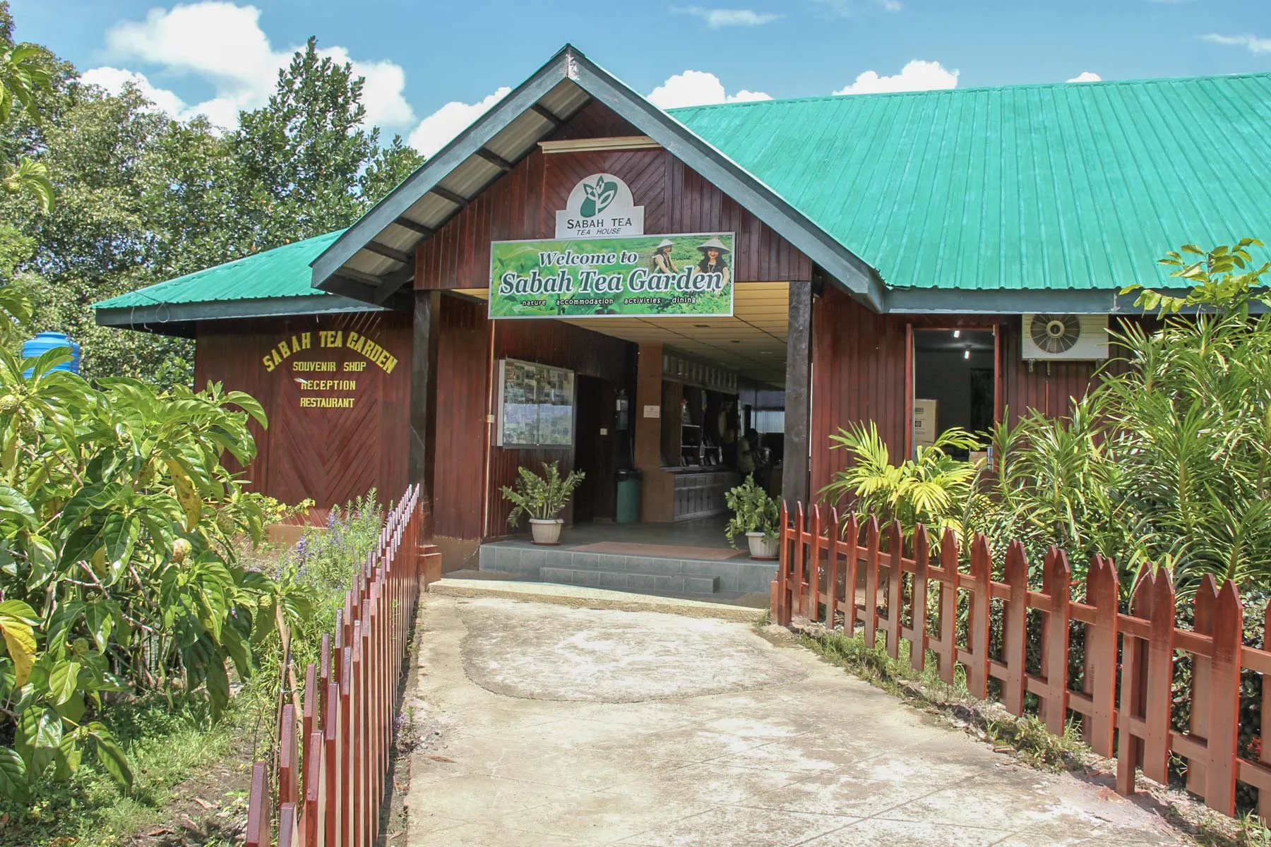 Sabah Tea garden