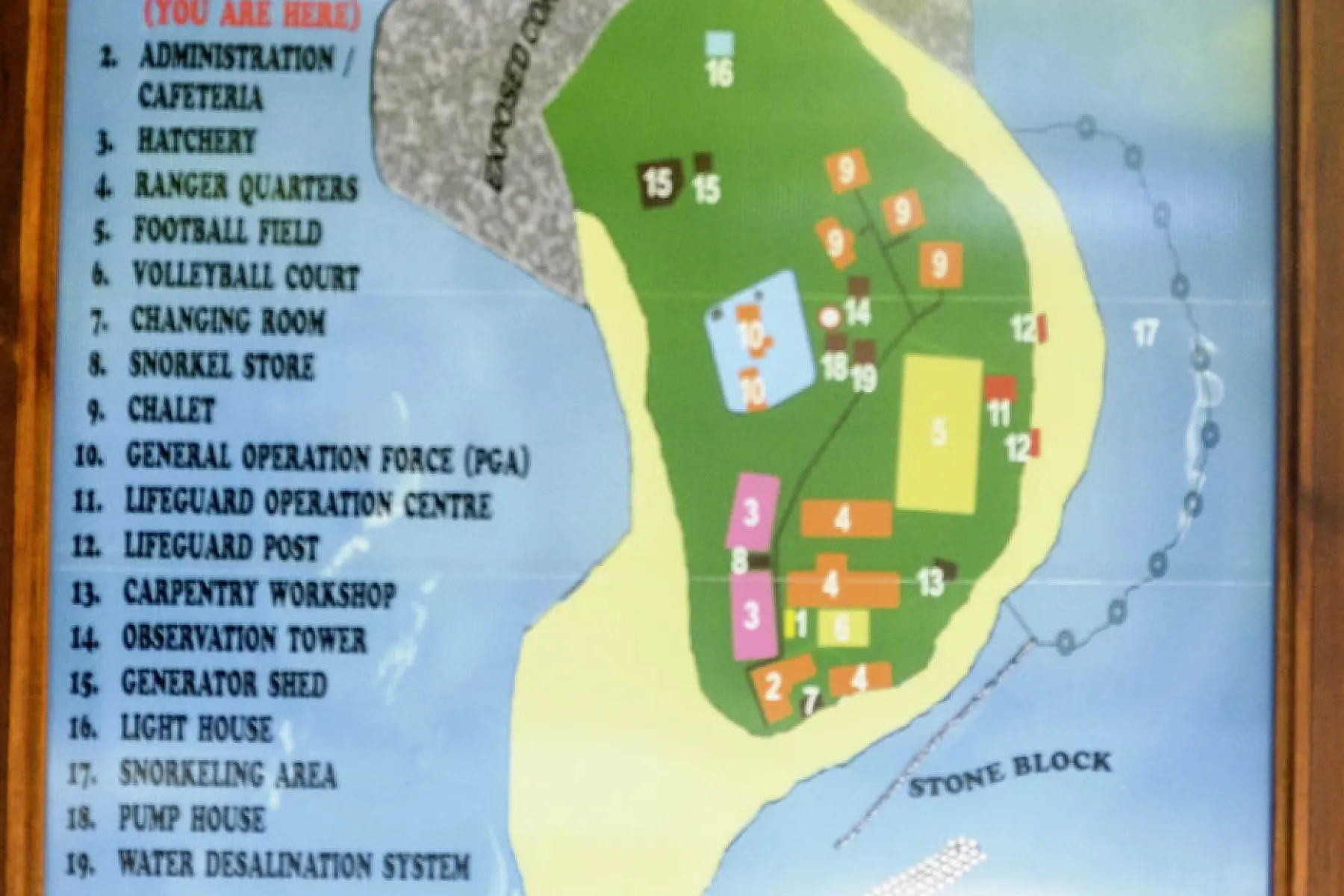 Selingan island also known as Turtle island welcomes turtles 365 days of the year