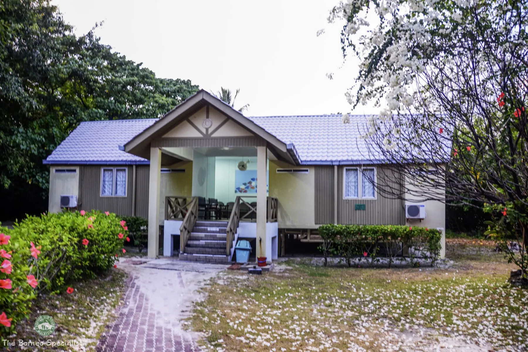 Chalet, Selingan island