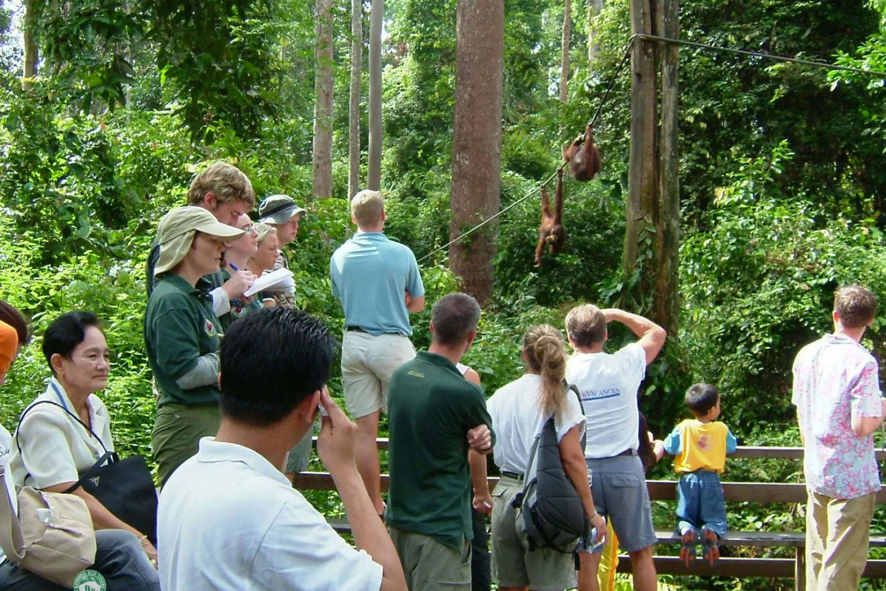 Sepilok orang utan rehabilitation centre