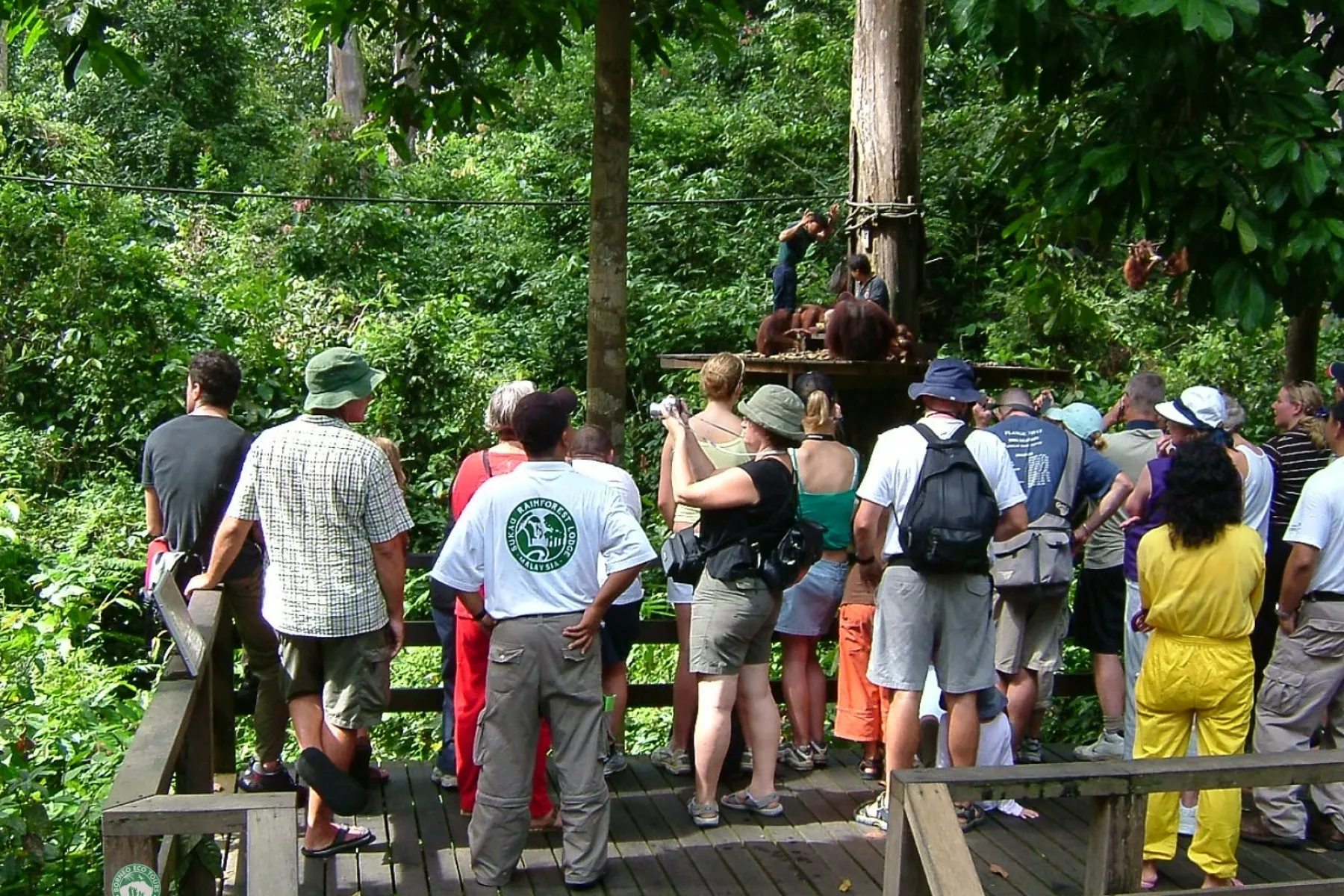 Sepilok Orang utan Rehabilitation Centre