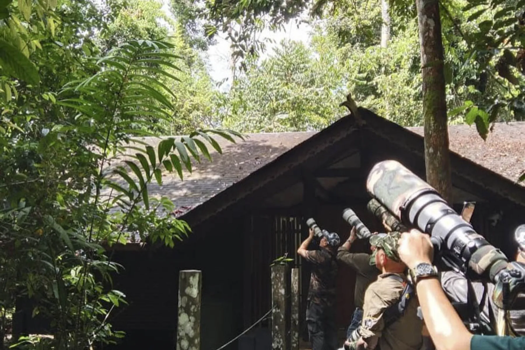 wildlife photography outside the villa