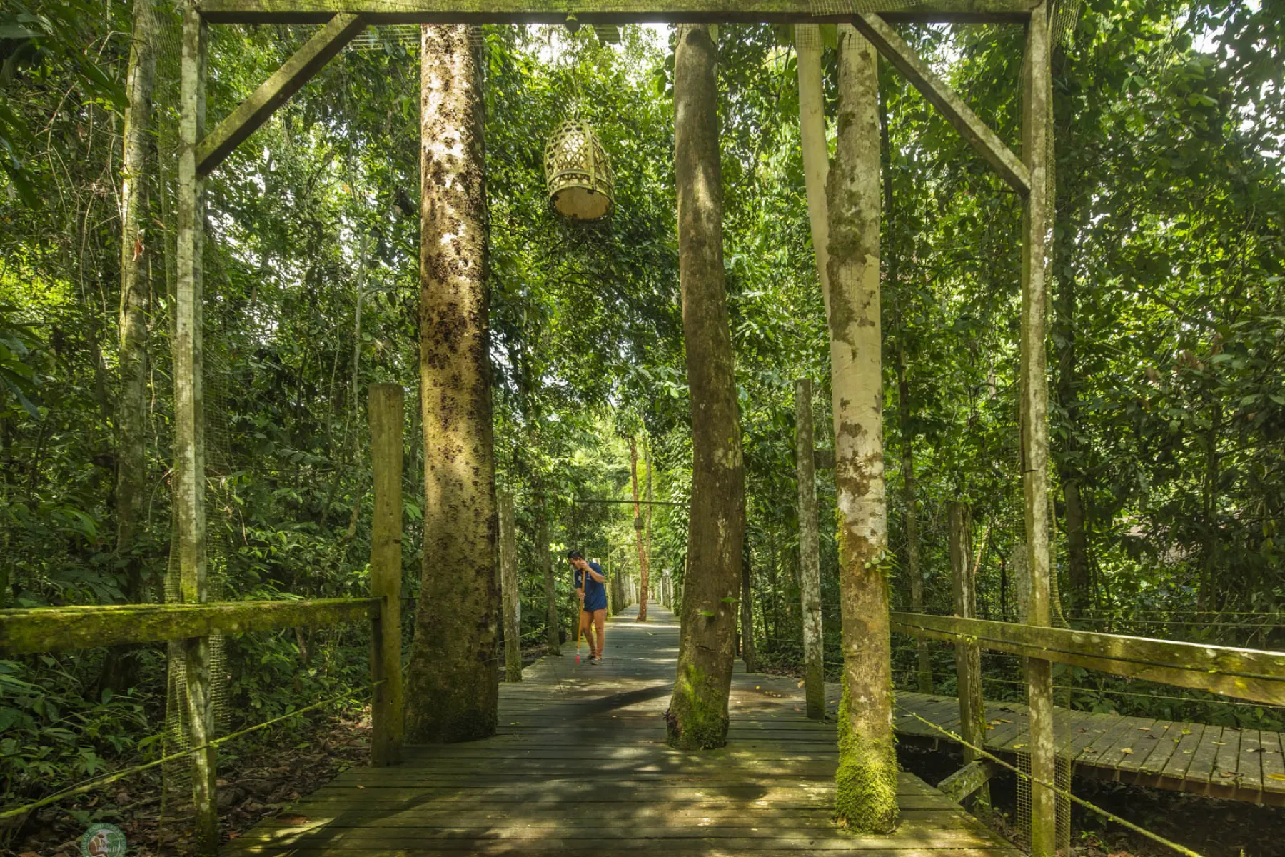 Sir David Attenborough Boardwalk to the Villa