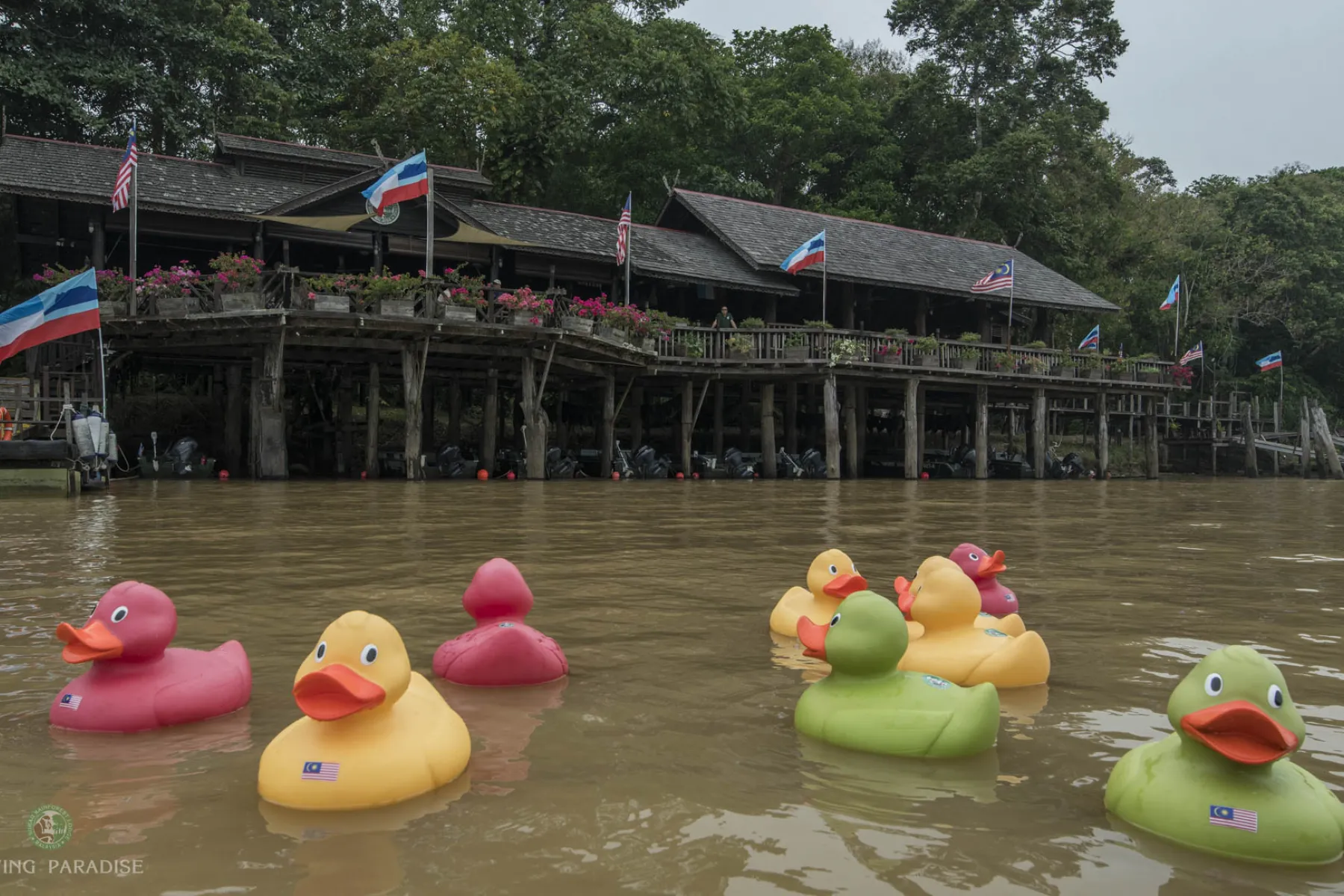 Sukau Rainforest Lodge