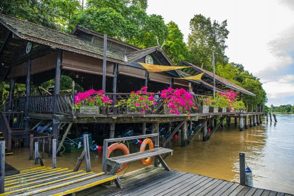 Kinabatangan Wildlife Safari (Overland) - Day 3