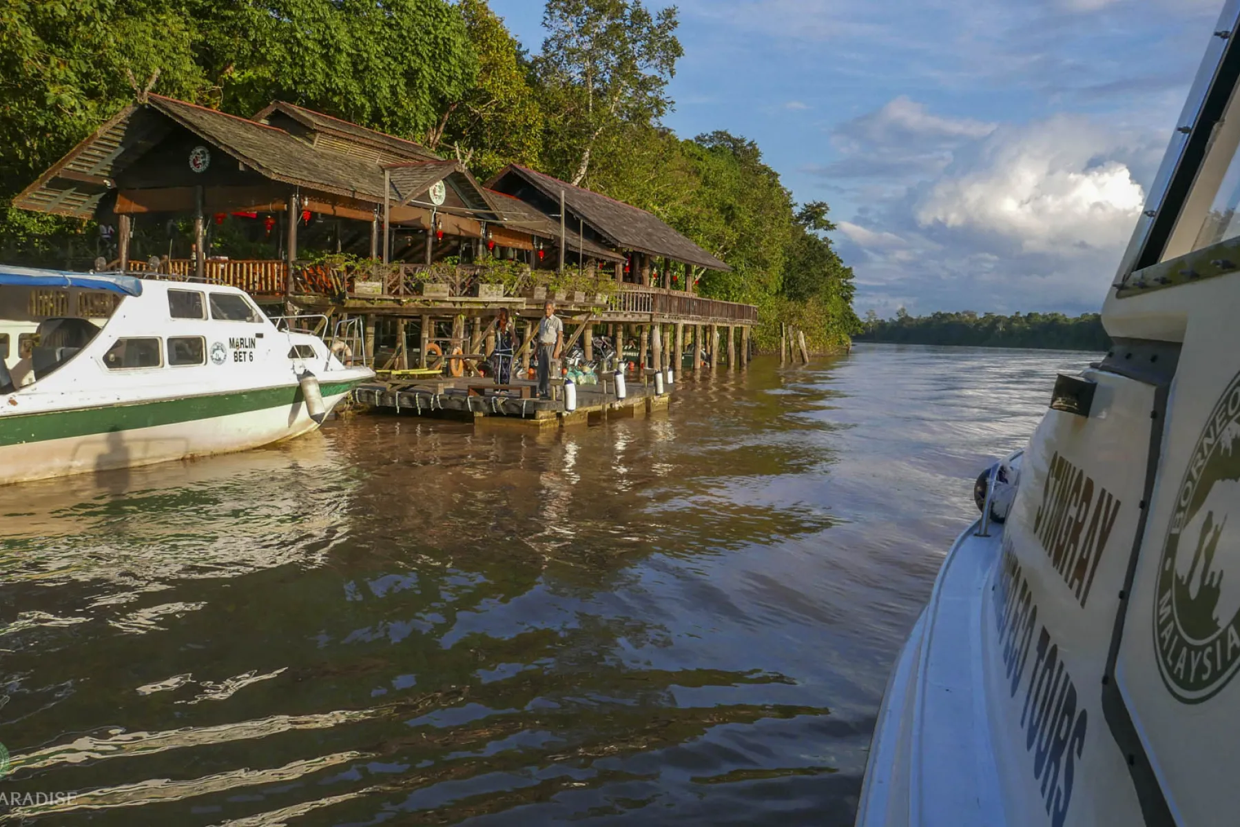 Arrival at Sukau Rainforest lodge