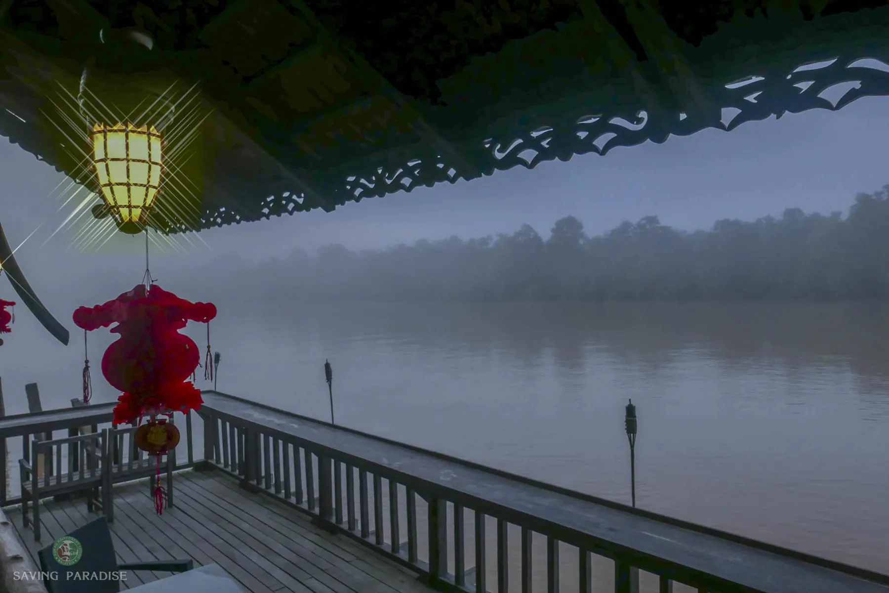 Sukau Rainforest landscape