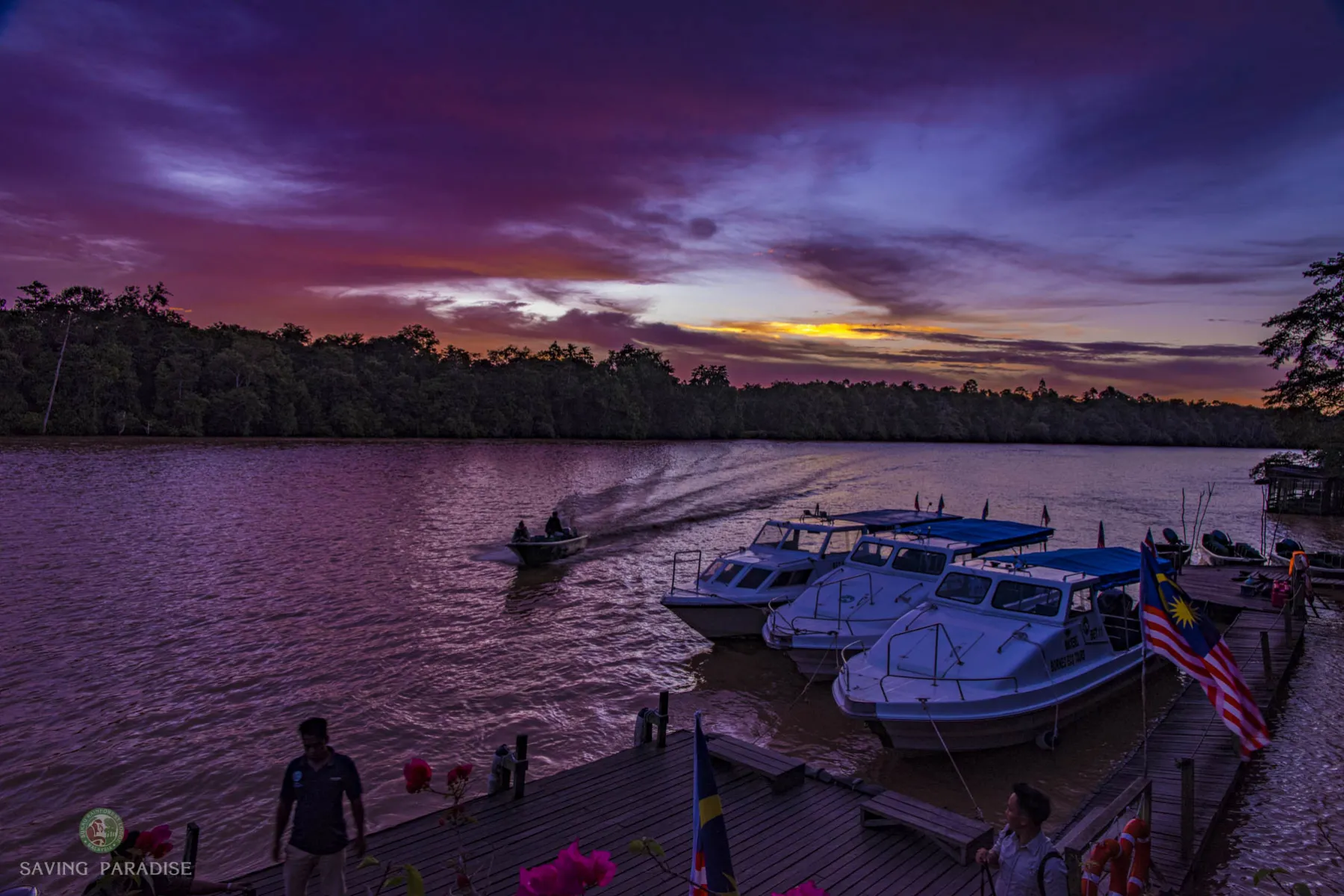 Sukau Rainforest Lodge at dusk