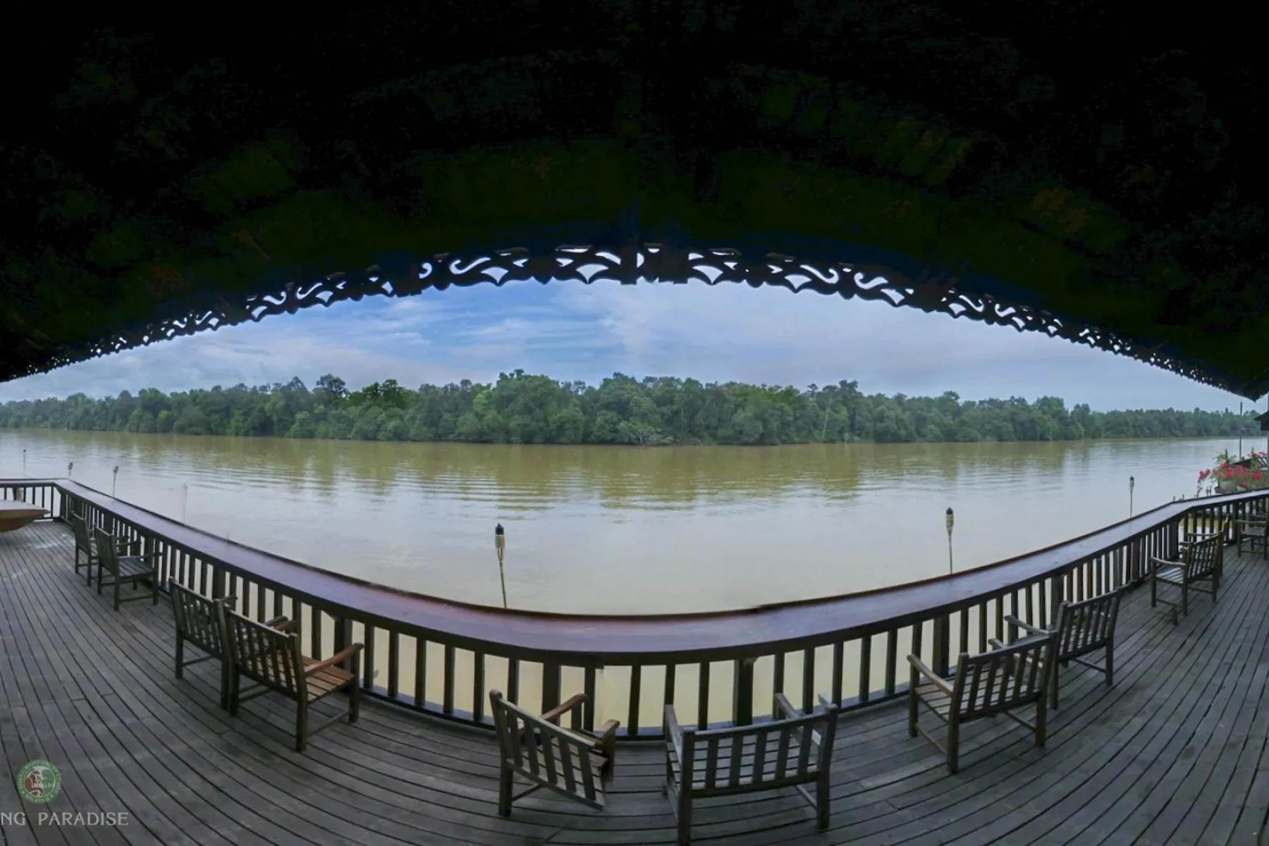 Panoramic view of the Kinabatangan River