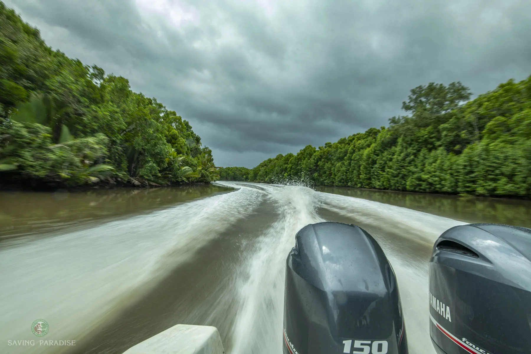 Travel to Sukau Rainforest Lodge by speedboat