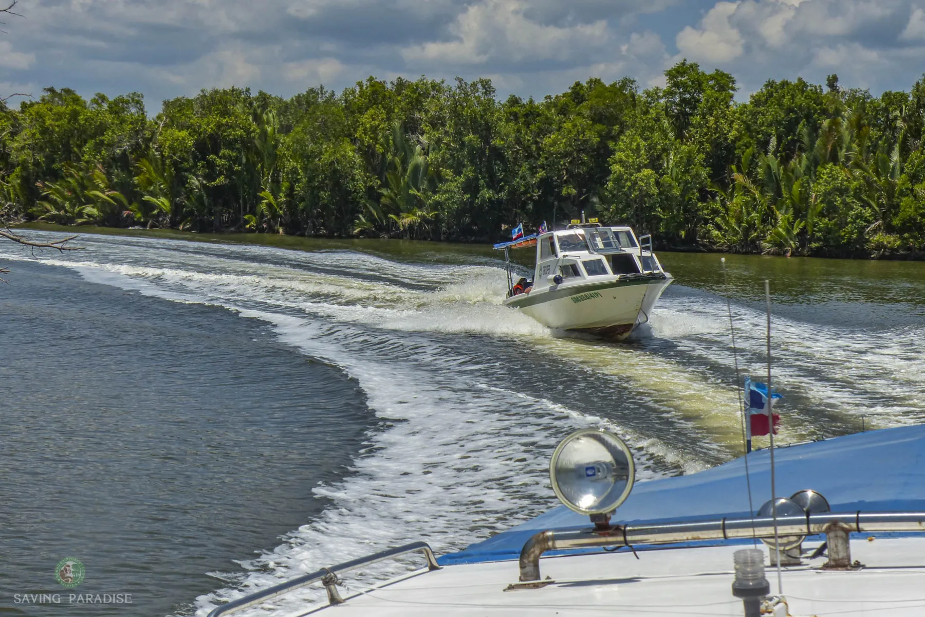 Speed boat tour/transfer to Sukau